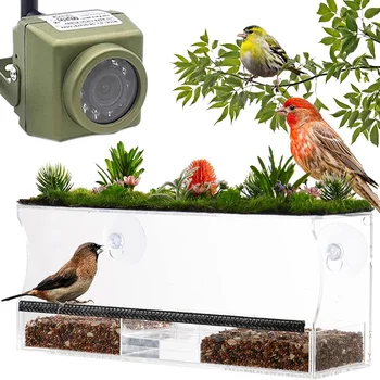 Camhi 940nm IR Наружная мини-водонепроницаемая камера видеонаблюдения для наблюдения за птицами в гнезде для домашних животных 1080P 5MP Wifi IP Bird Box Camera Kit