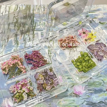 Новый Гвоздь Dry Flower С цветочным орнаментом в виде четырех сеток, Футляр для нейл-арта, ожерелье, Маленький Сухой Цветок, Многоцветный, смешанный